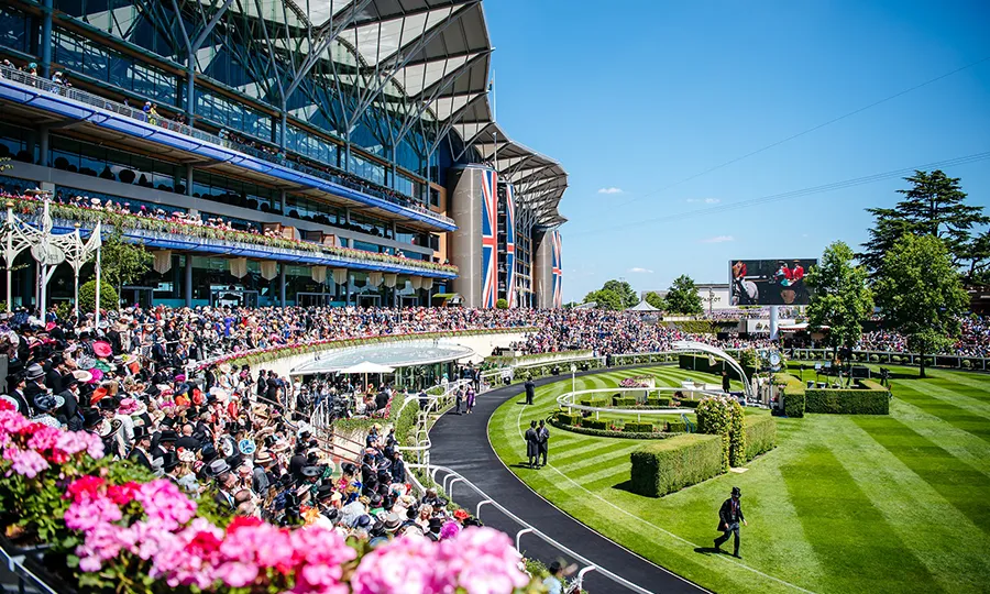 The Pavilion at Ascot Racecourse, dhp's office since 2021
