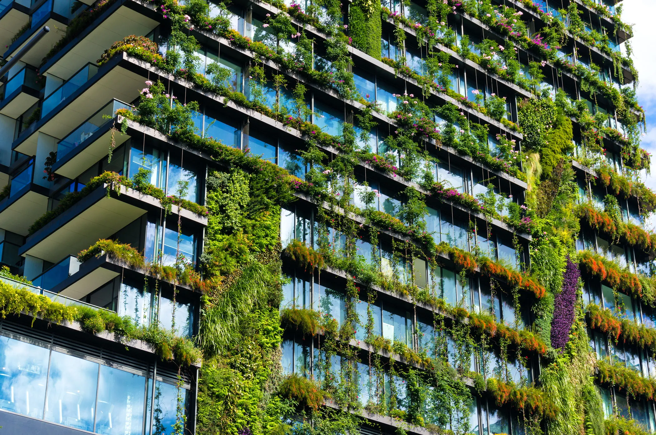 5 Steps to Sustainable Construction Success